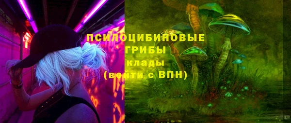 спайс Аркадак