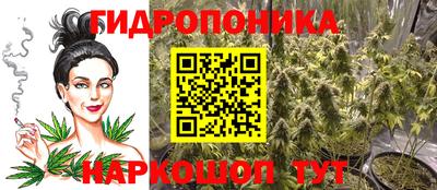 мдма Аргун