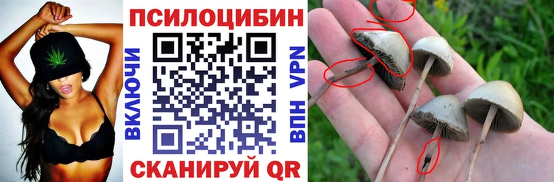 наркошоп  Балабаново  Псилоцибиновые грибы MAGIC MUSHROOMS 