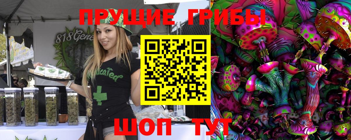 Балабаново  Галлюциногенные грибы Psilocybe  Вход с VPN 